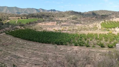 Rustic farm on Calle Partida Vall de Amet, No. Sn photo 5